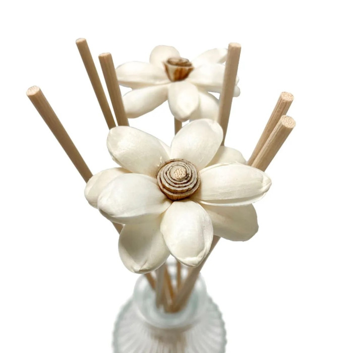 VARETAS DE RATTAN MARGARIDA 25CM ACQUA AROMA