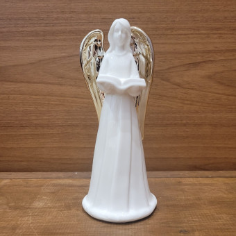 ANJO LENDO 25X12 PORCELANA LED