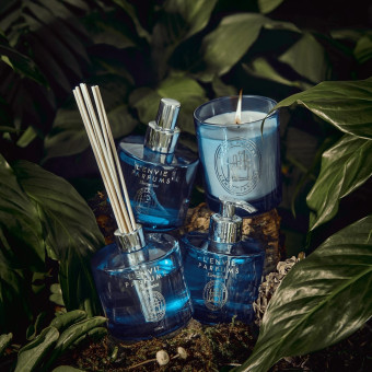 DIFUSOR AMBIENTE 200ML MUSGO DE CARVALHO