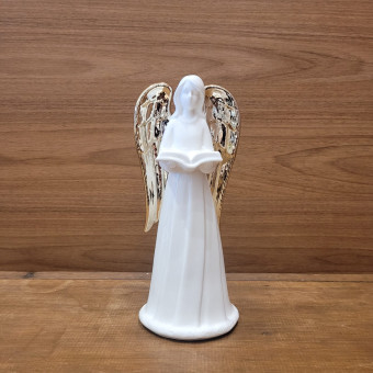 ANJO LENDO 21X9 PORCELANA LED