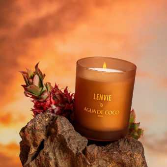 VELA PERFUMADA 210G TERRA DO SOL ÁGUA DE COCO