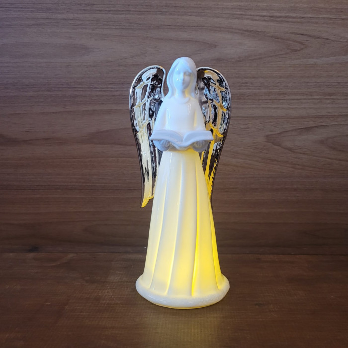 ANJO LENDO 21X9 PORCELANA LED