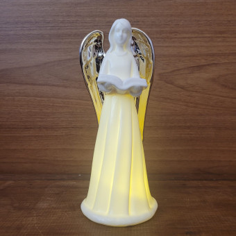 ANJO LENDO 25X12 PORCELANA LED