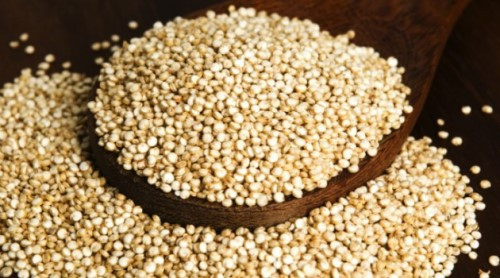 quinoa